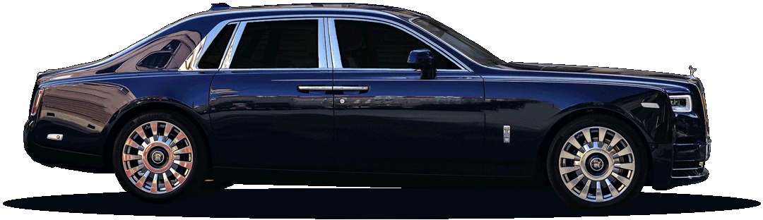 Professional Limousine Service